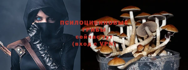шишки Горнозаводск