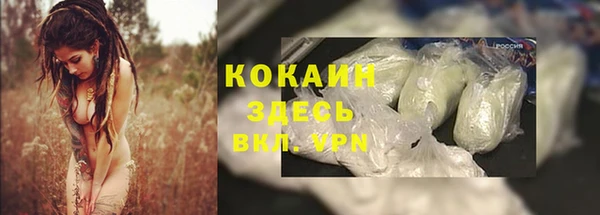 прущие грибы Горно-Алтайск