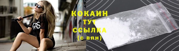 скорость Вяземский