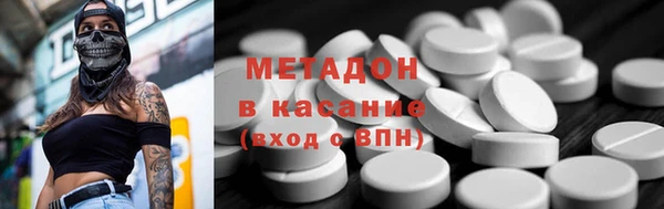 прущие грибы Горно-Алтайск