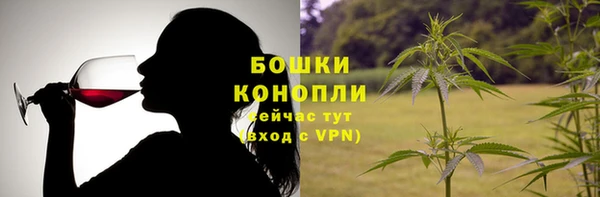 прущие грибы Горно-Алтайск