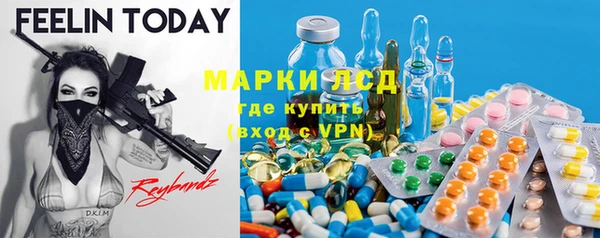 шишки Горнозаводск
