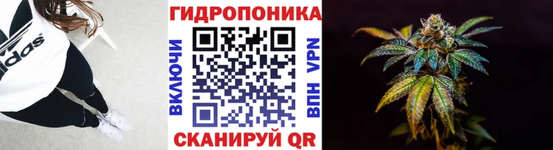 Бошки марихуана марихуана  Дзержинский 